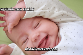 1 Yaş Üstün Zeka Belirtisi