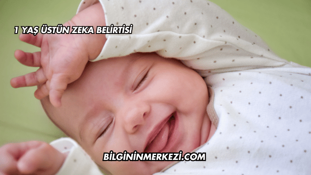 1 Yaş Üstün Zeka Belirtisi