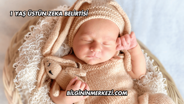 1 Yaş Üstün Zeka Belirtisi
