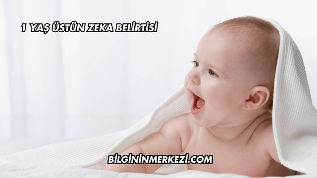 1 Yaş Üstün Zeka Belirtisi