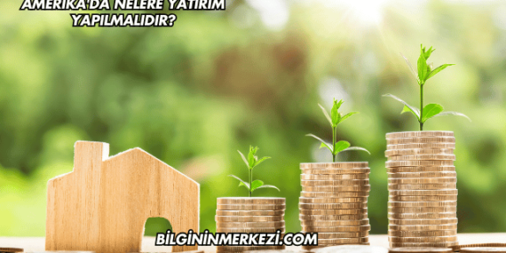 Amerika’da Nelere Yatırım Yapılmalıdır?