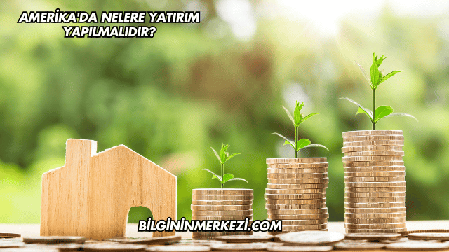 Amerika'da Nelere Yatırım Yapılmalıdır?