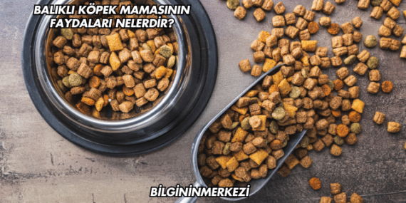 Balıklı Köpek Mamasının Faydaları Nelerdir?