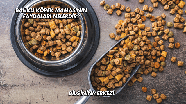 Balıklı Köpek Mamasının Faydaları Nelerdir?