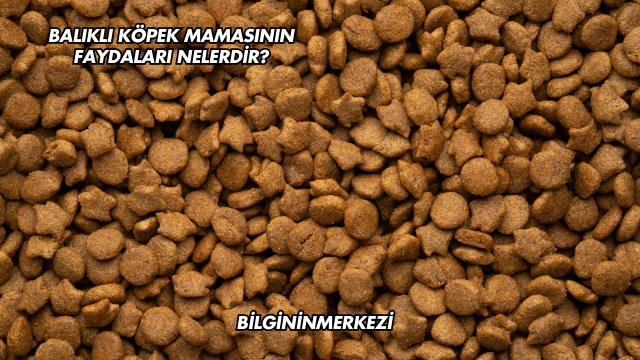 Balıklı Köpek Mamasının Faydaları Nelerdir?