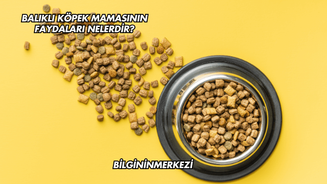 Balıklı Köpek Mamasının Faydaları Nelerdir?