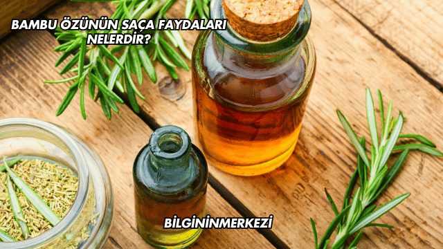 Bambu Özünün Saça Faydaları Nelerdir?