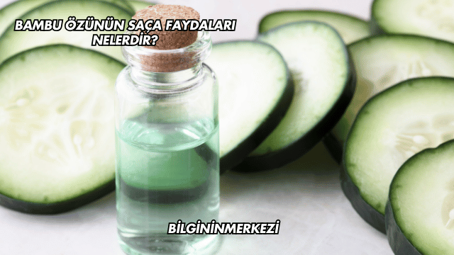 Bambu Özünün Saça Faydaları Nelerdir?