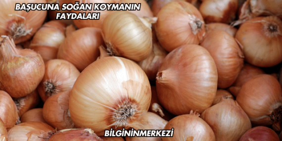 Başucuna Soğan Koymanın Faydaları