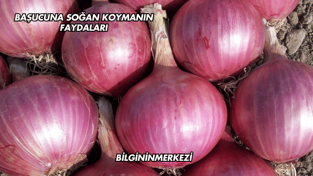 Başucuna Soğan Koymanın Faydaları