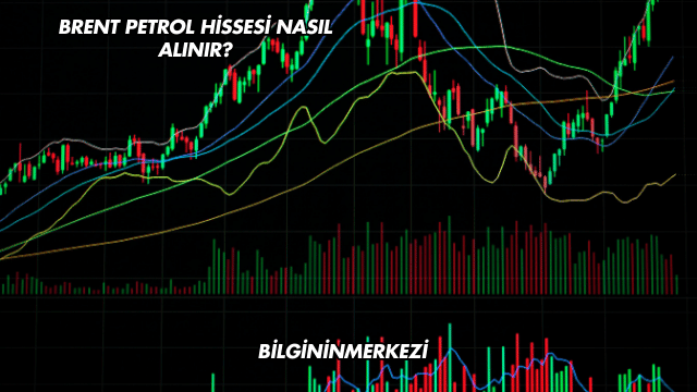 Brent Petrol Hissesi Nasıl Alınır?