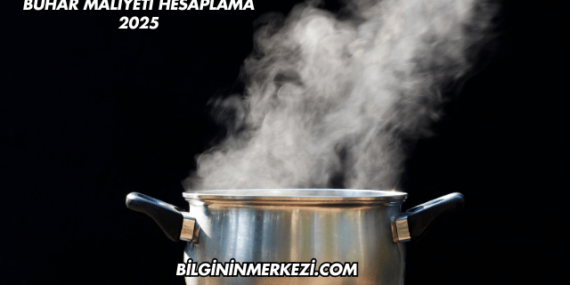 Buhar Maliyeti Hesaplama 2025