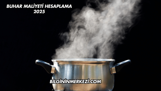 Buhar Maliyeti Hesaplama 2025
