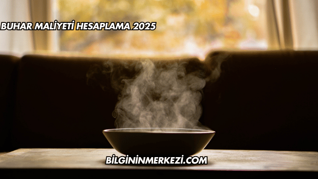 Buhar Maliyeti Hesaplama 2025