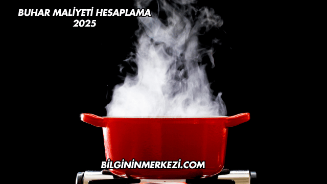 Buhar Maliyeti Hesaplama 2025