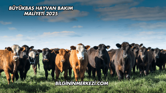 Büyükbaş Hayvan Bakım Maliyeti 2025