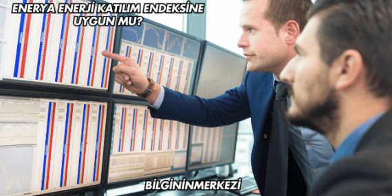 Enerya Enerji Katılım Endeksine Uygun mu?