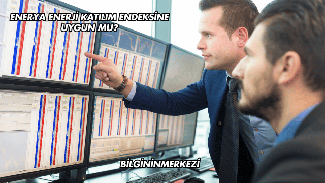Enerya Enerji Katılım Endeksine Uygun mu?
