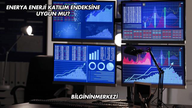 Enerya Enerji Katılım Endeksine Uygun mu?