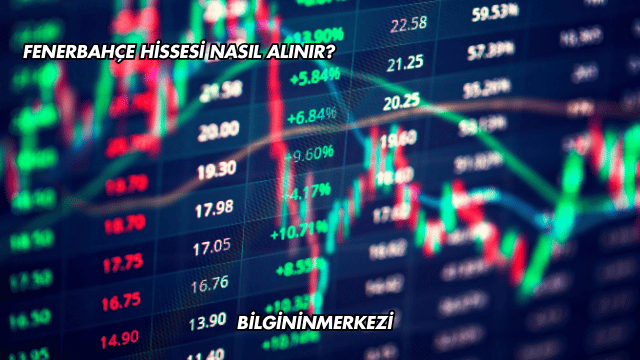 Fenerbahçe Hissesi Nasıl Alınır?