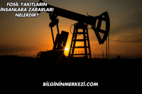 Fosil Yakıtların İnsanlara Zararları Nelerdir?