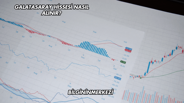 Galatasaray Hissesi Nasıl Alınır?