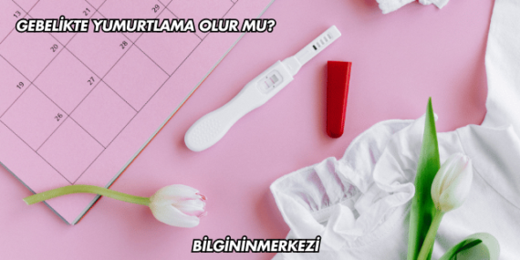 Gebelikte Yumurtlama Olur mu?