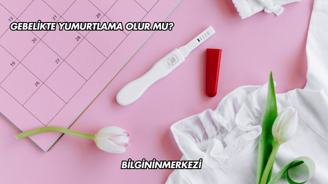 Gebelikte Yumurtlama Olur mu?