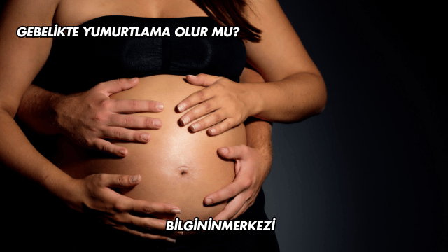 Gebelikte Yumurtlama Olur mu?