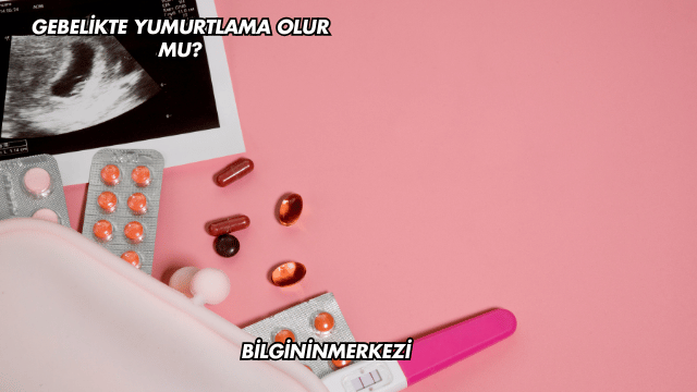 Gebelikte Yumurtlama Olur mu?