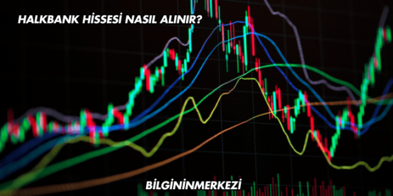 Halkbank Hissesi Nasıl Alınır?