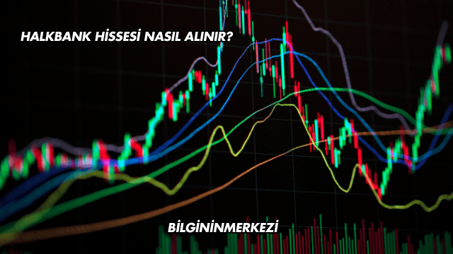 Halkbank Hissesi Nasıl Alınır?