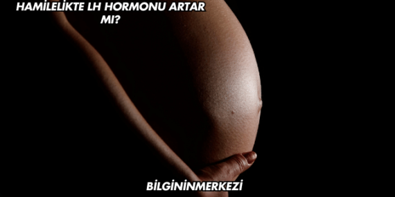 Hamilelikte LH Hormonu Artar mı?
