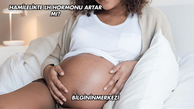 Hamilelikte LH Hormonu Artar mı?