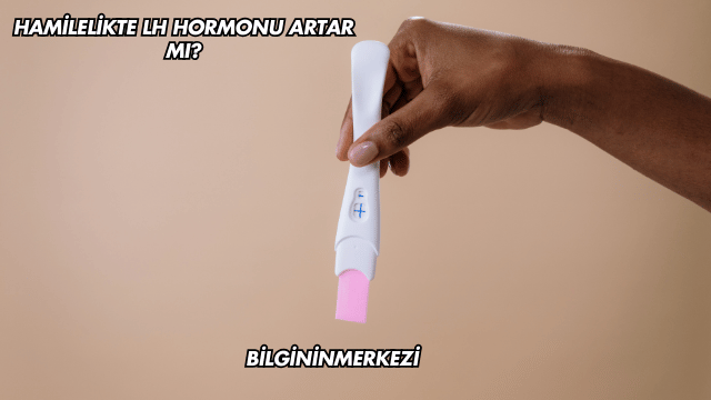 Hamilelikte LH Hormonu Artar mı?