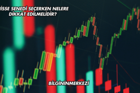 Hisse Senedi Seçerken Nelere Dikkat Edilmelidir?