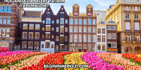 Hollanda’da Nelere Yatırım Yapılmalıdır?
