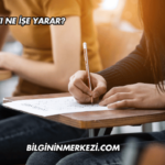 İSG Sınavı Ne İşe Yarar?