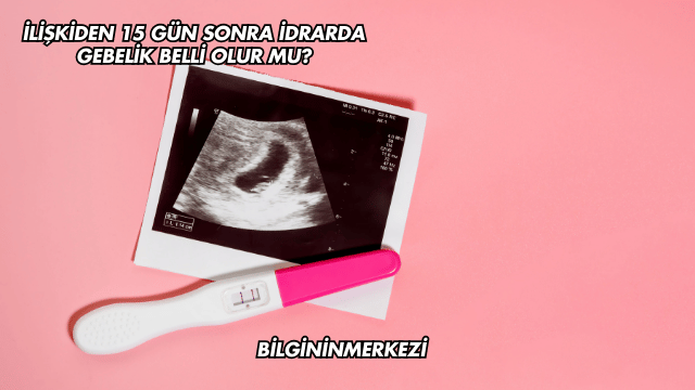İlişkiden 15 Gün Sonra İdrarda Gebelik Belli Olur mu?