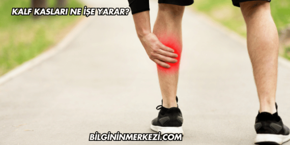 Kalf Kasları Ne İşe Yarar?