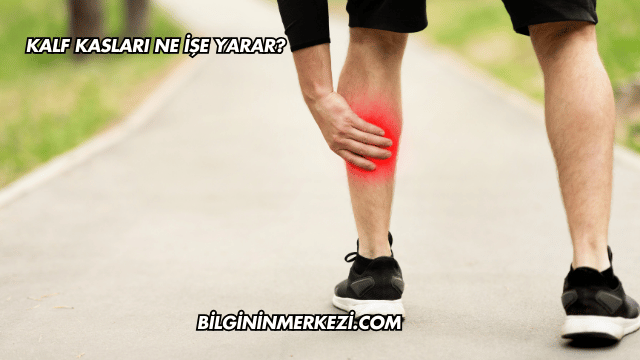 Kalf Kasları Ne İşe Yarar?