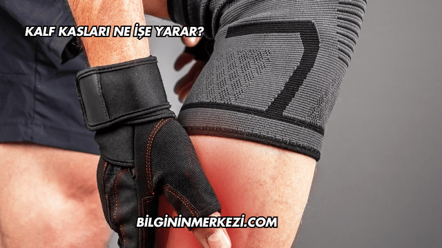 Kalf Kasları Ne İşe Yarar?