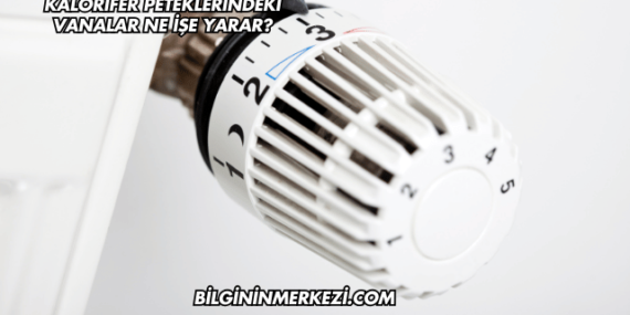 Kalorifer Peteklerindeki Vanalar Ne İşe Yarar?