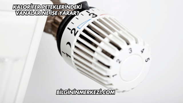 Kalorifer Peteklerindeki Vanalar Ne İşe Yarar?