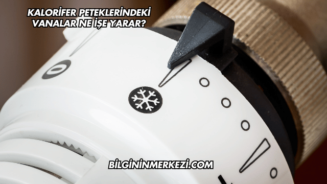 Kalorifer Peteklerindeki Vanalar Ne İşe Yarar?