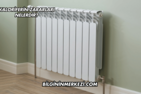Kaloriferin Zararları Nelerdir?