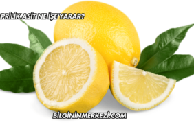 Kaprilik Asit Ne İşe Yarar?