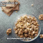 Karabuğday Patlağı Ne İşe Yarar?