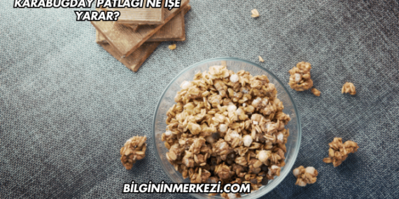 Karabuğday Patlağı Ne İşe Yarar?