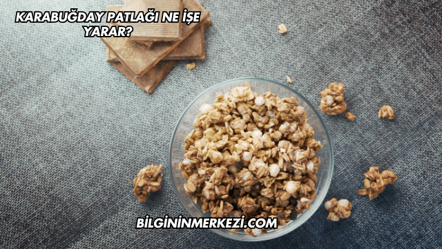 Karabuğday Patlağı Ne İşe Yarar?